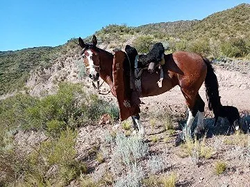 Incayuyo linda nena - Imagen 2