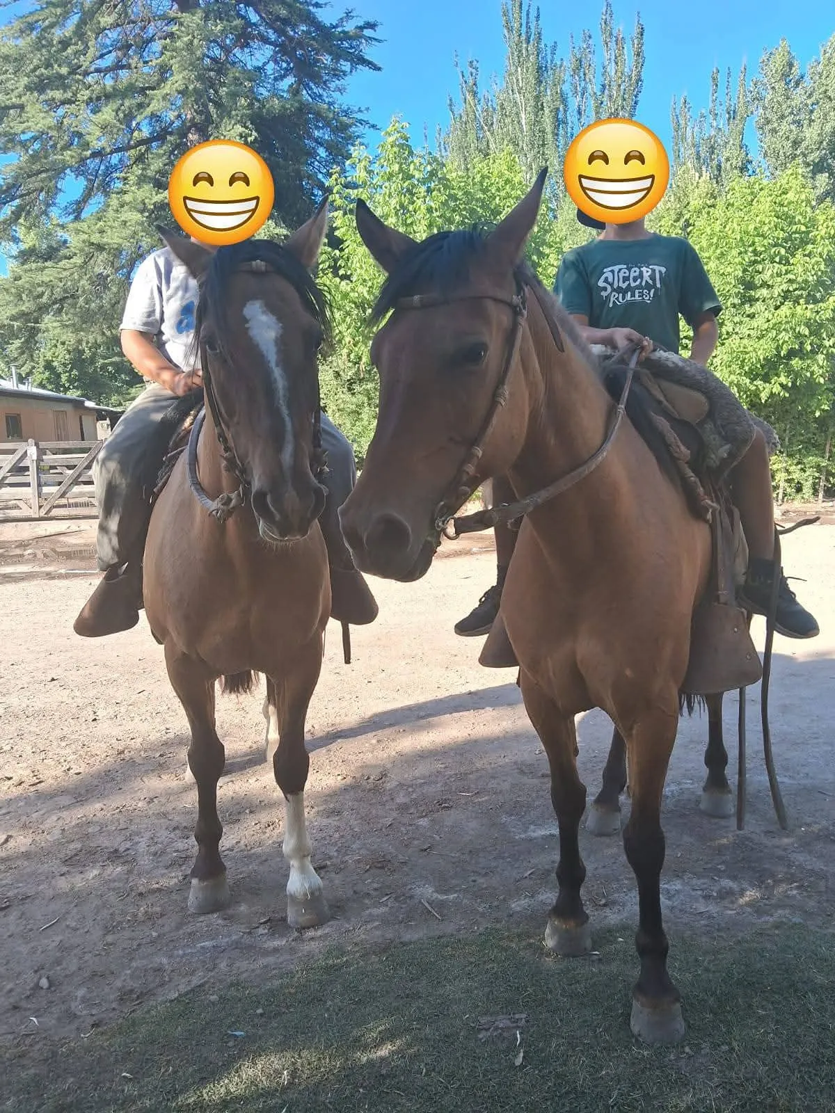 Pano pifiar Manga epidra