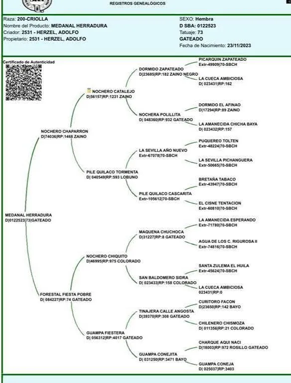Medanal Herradura  - Imagen 3