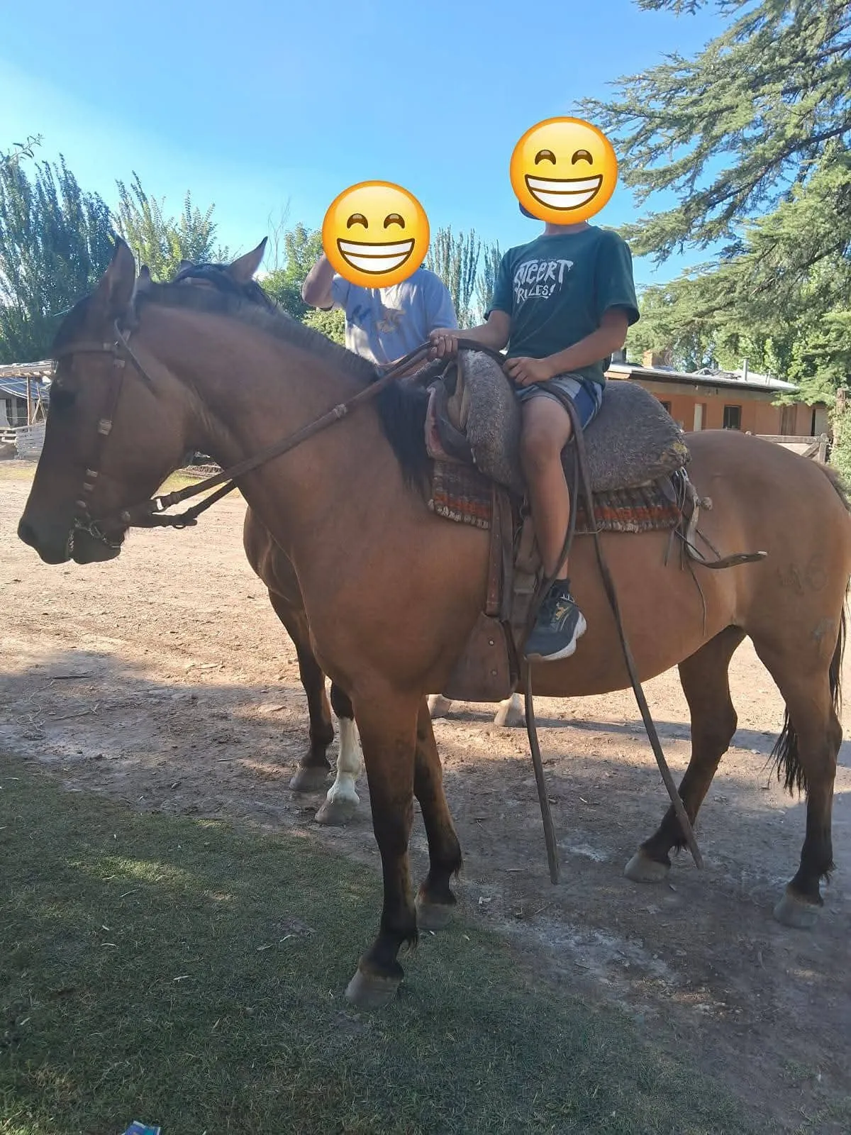 Pano pifiar Manga epidra - Imagen 2