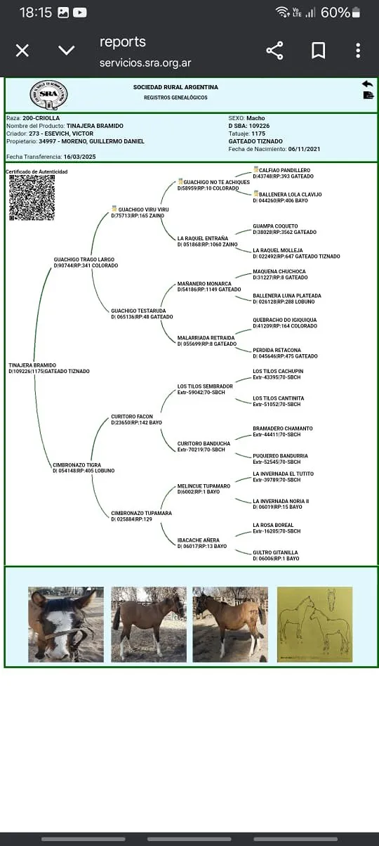 Tinajera Bramido  - Imagen 5