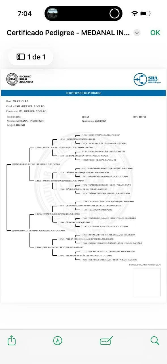 Medanal Insolente  - Imagen 4