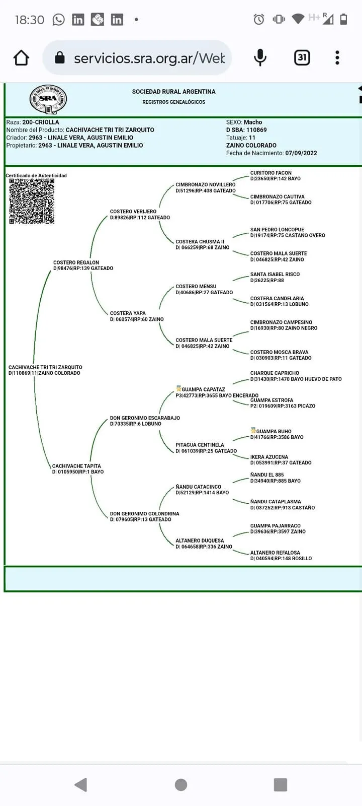 Cachivache Tritri Zarquito  - Imagen 2