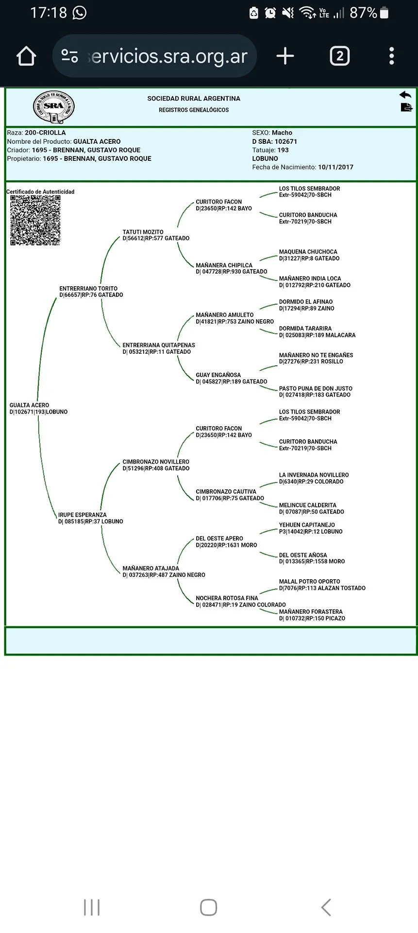 GUALTA ACERO - Imagen 10