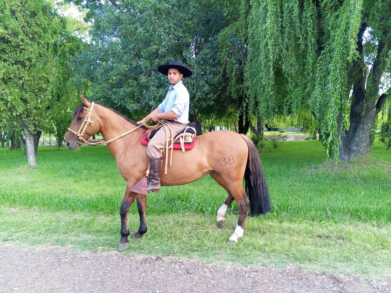 Cañumil serafina - Imagen 2