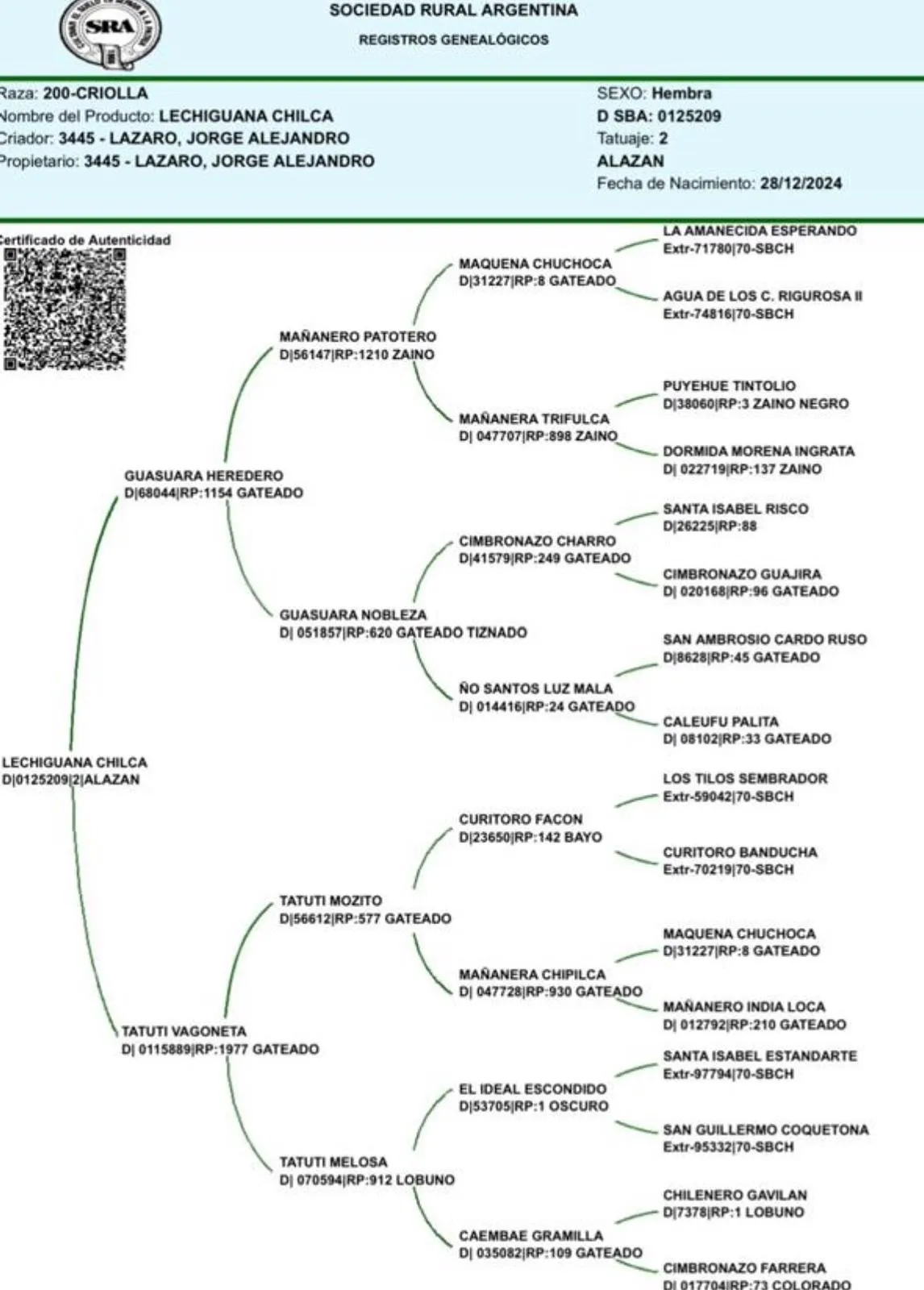 Lechiguana Chilca - Imagen 4