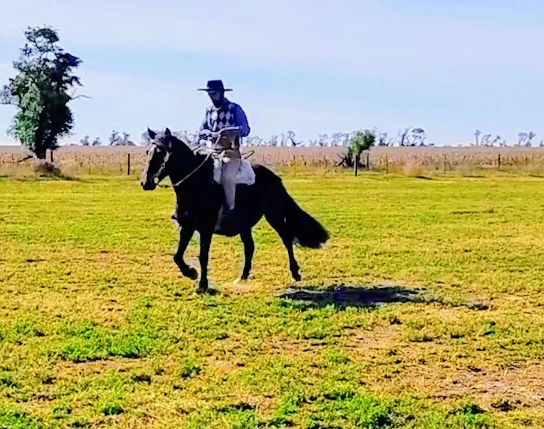 Virtud Abogada Exitosa - Imagen 2