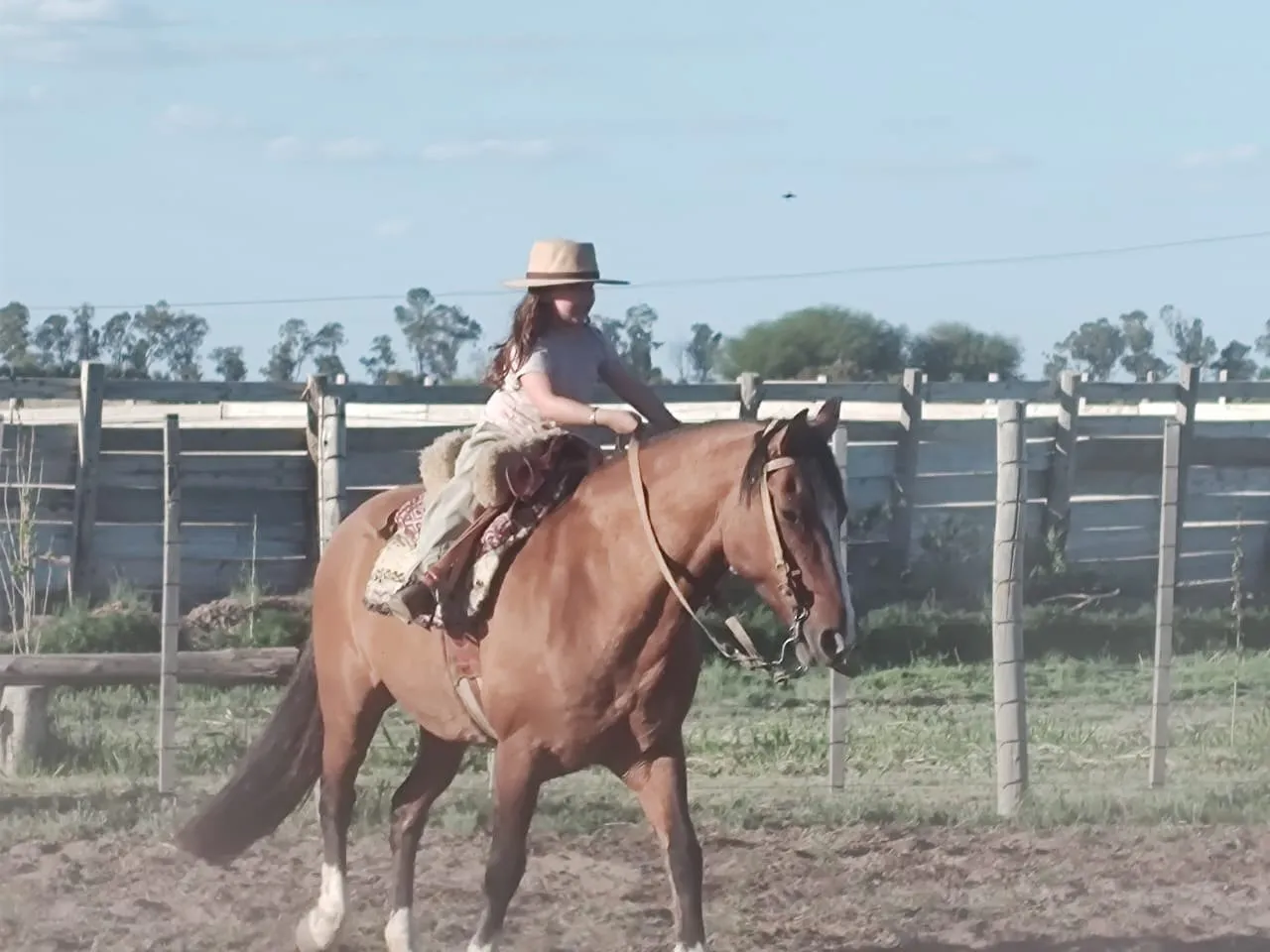 C.rancho vihuela - Imagen 1