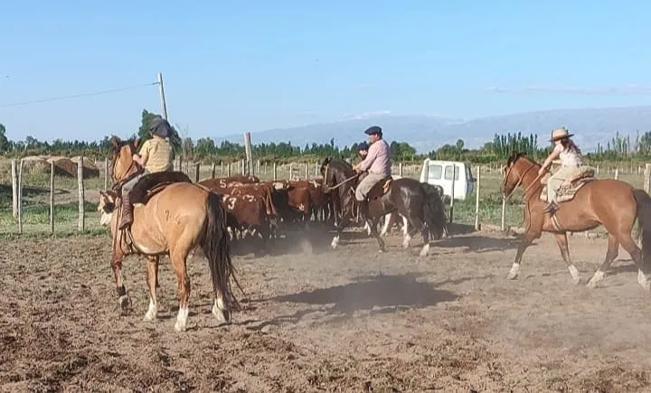 C.rancho vihuela - Imagen 2