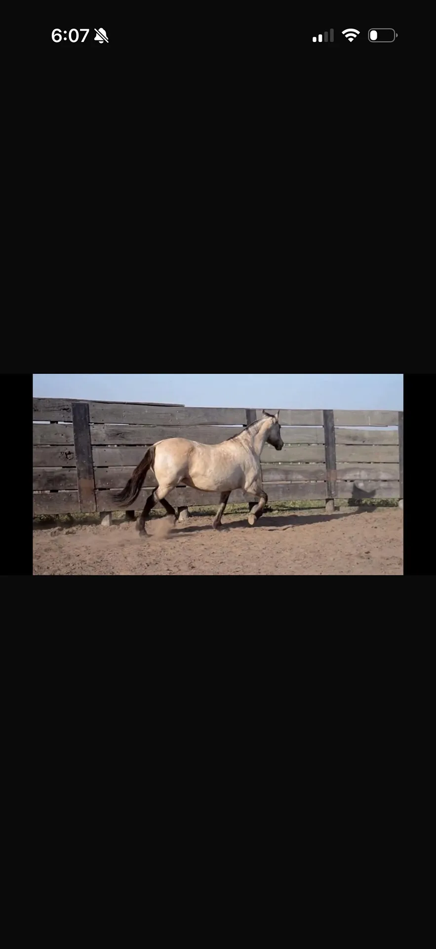 CARA CARA AÑA LA ATAJADA - Imagen 2