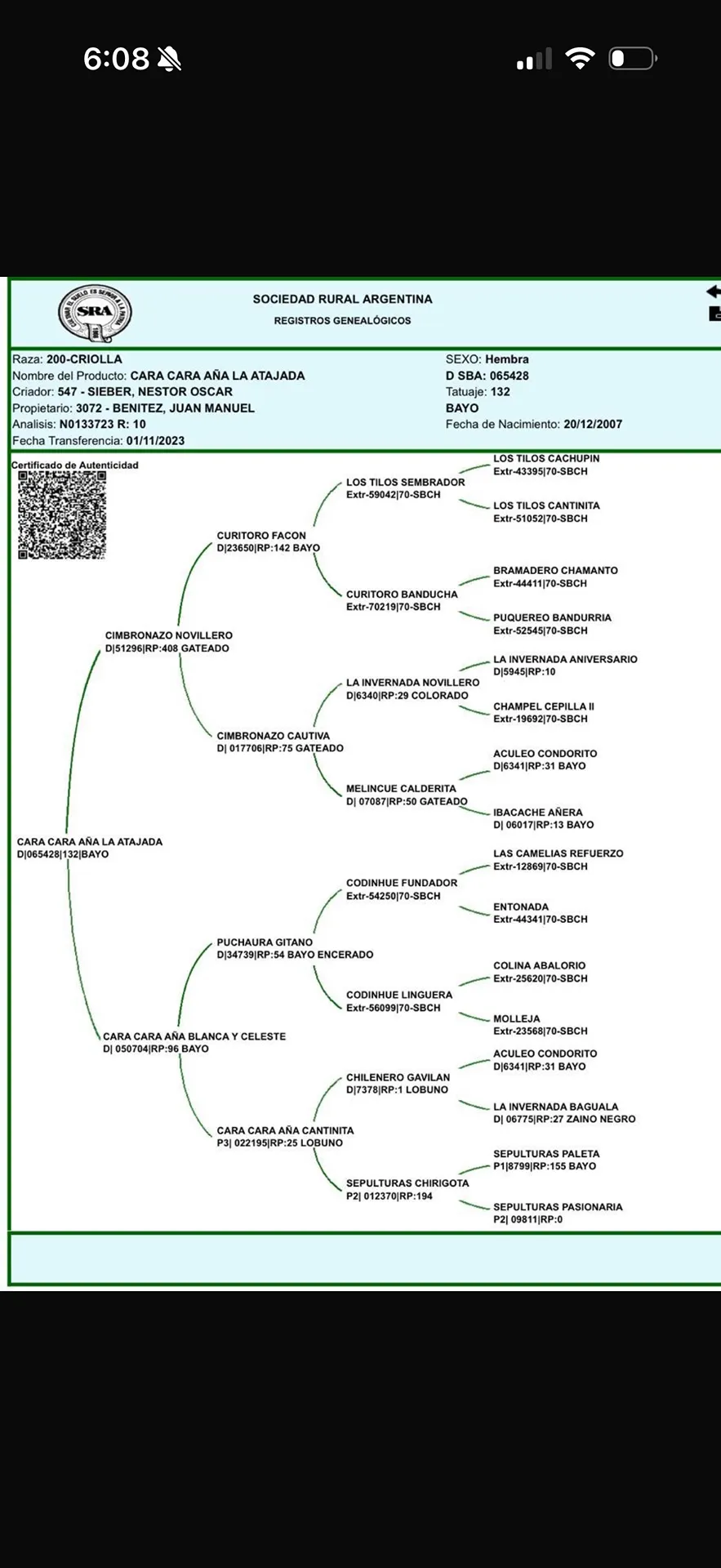 CARA CARA AÑA LA ATAJADA - Imagen 3