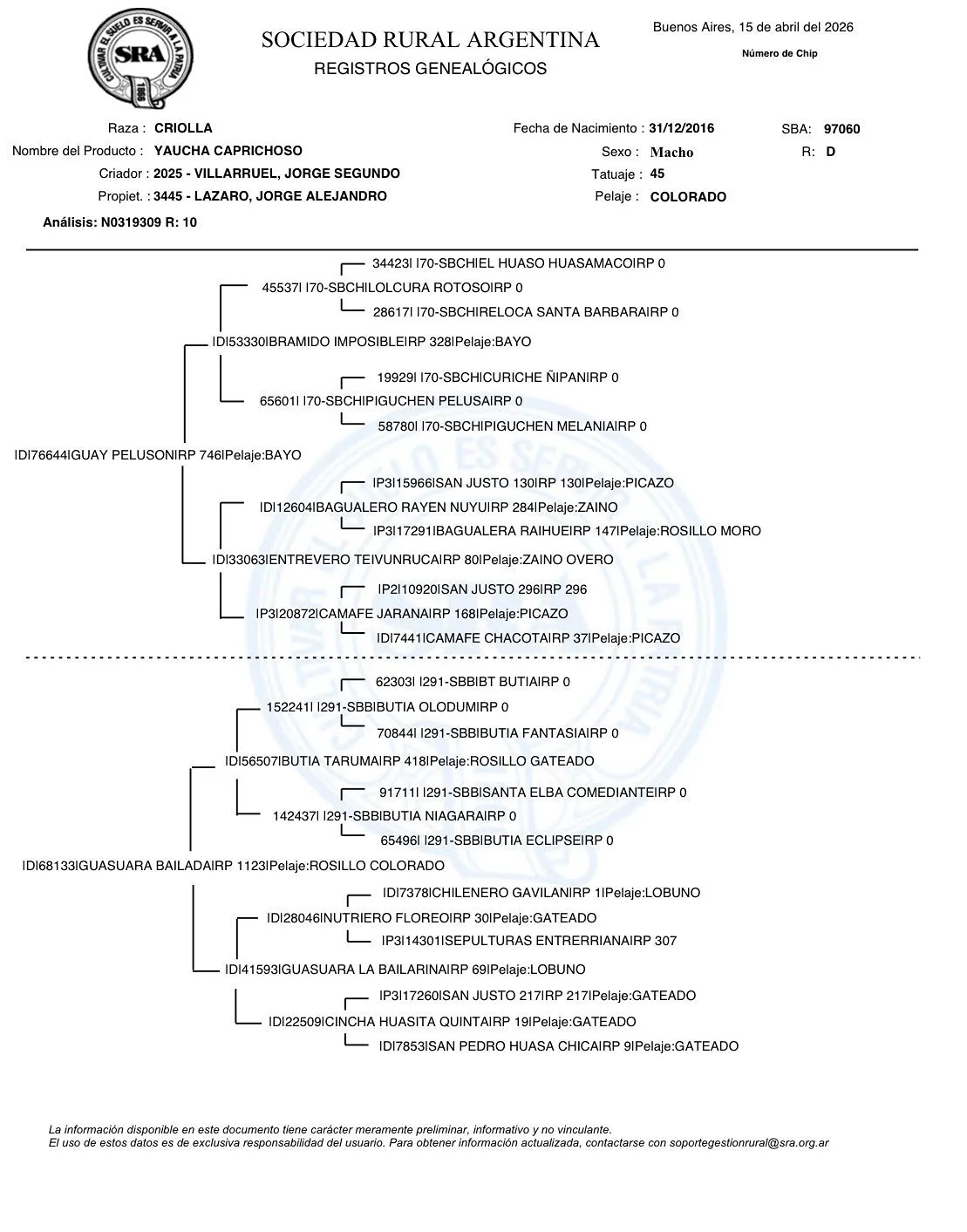 Yaucha Caprichoso - Imagen 3