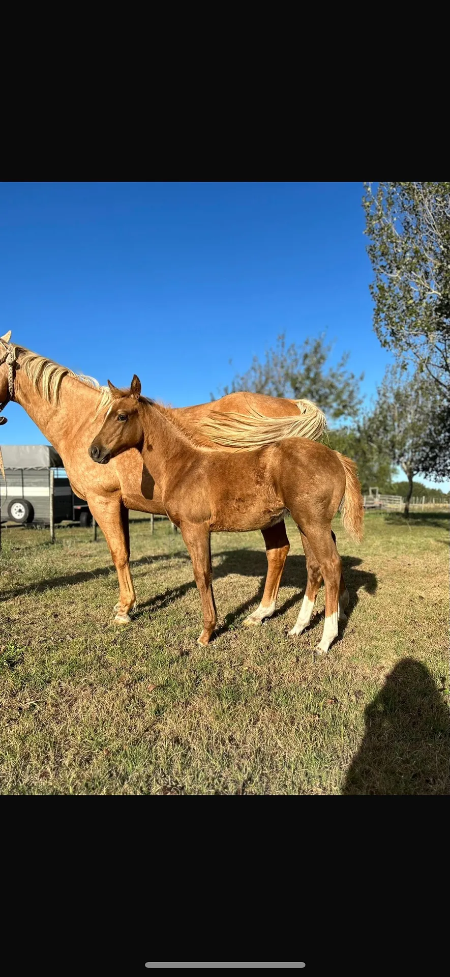 NG REINITA - Imagen 2