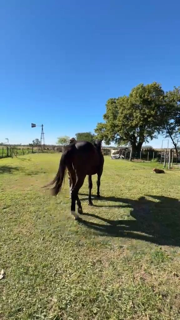 Ultra lindo - Video