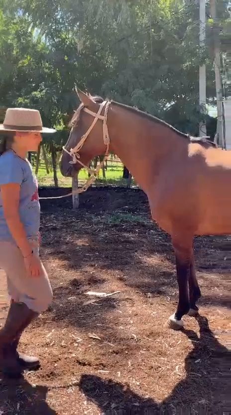 Cruz diablo la Banderita  - Video