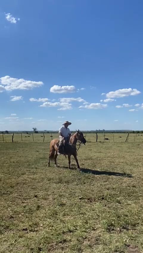 Guay Republicana  - Video