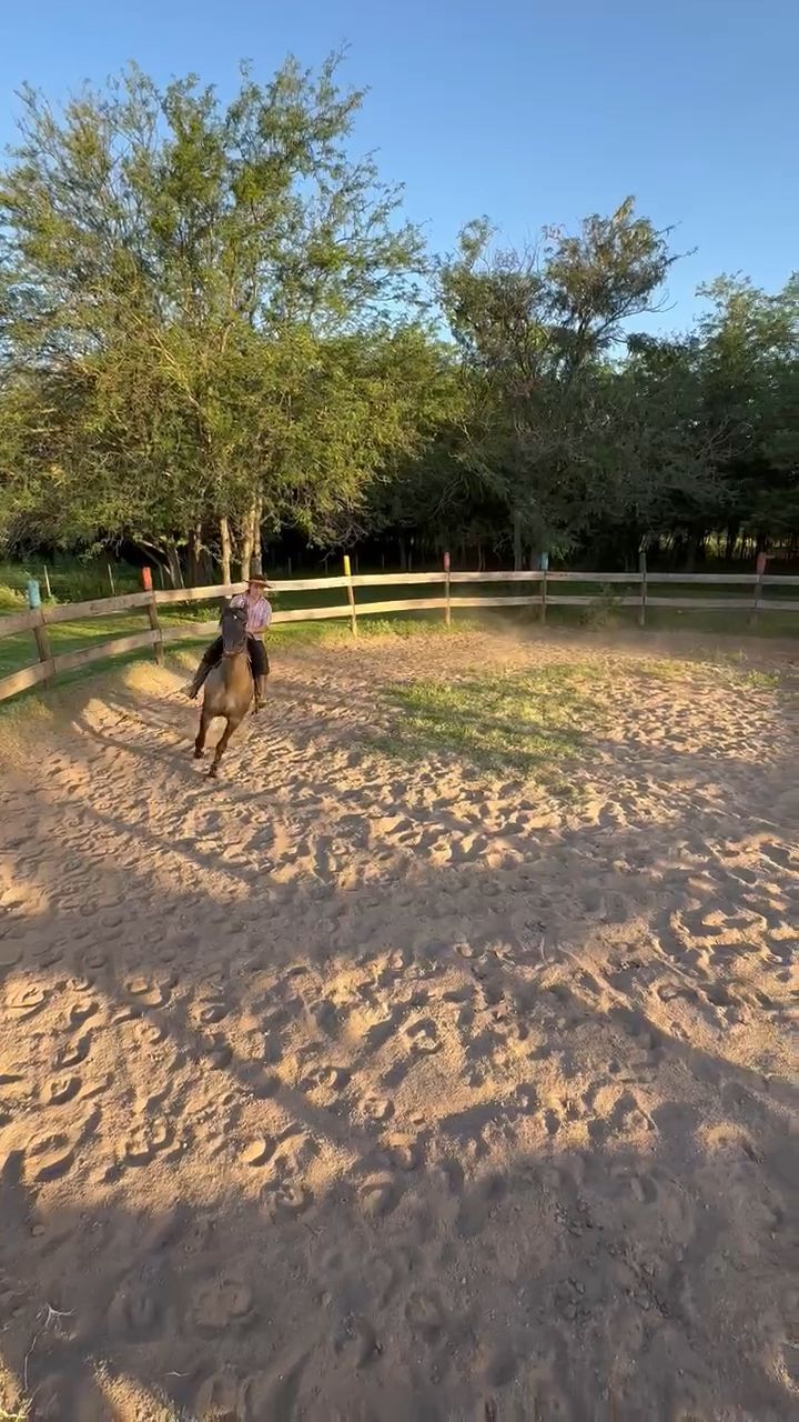 SAN ESTEBAN CHAMBERGO  - Video