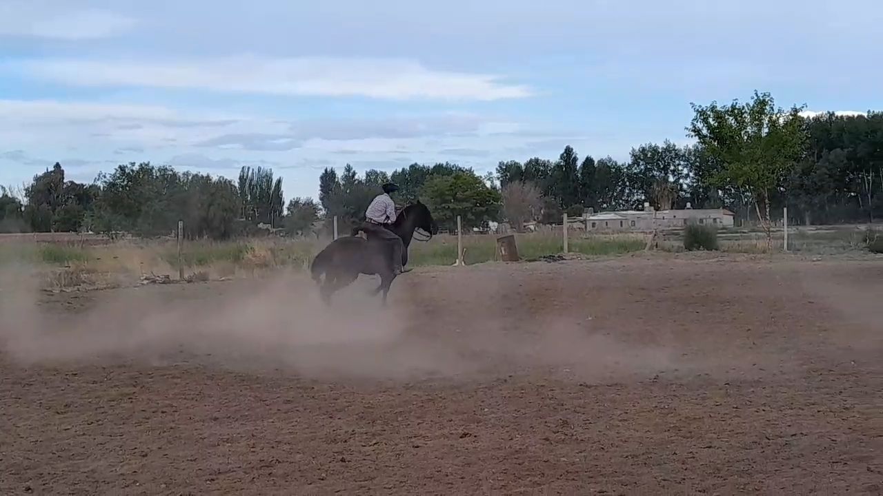 GUALTA ACERO  - Video