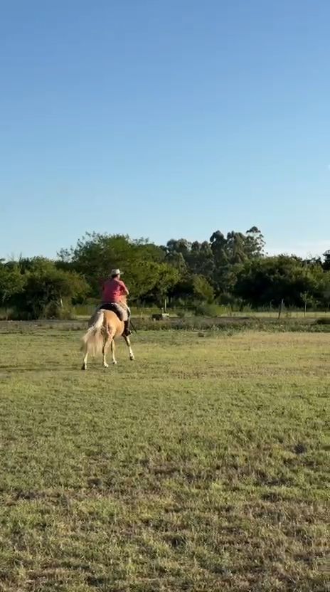 LA BRAVA HUELLA BLANCA  - Video