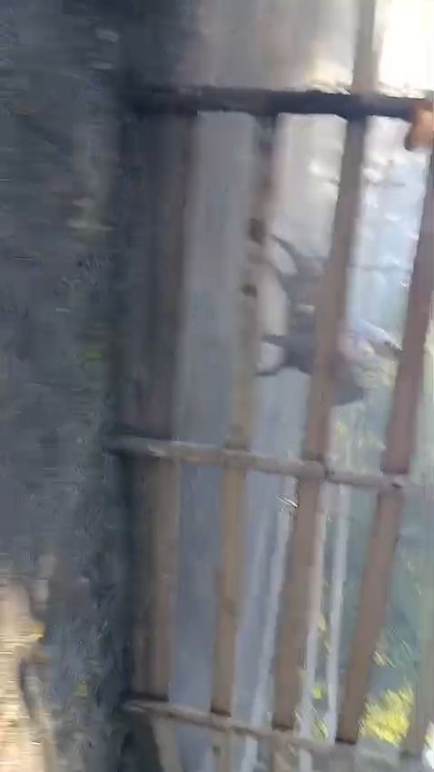 ESTERO LEGÍTIMO  - Video