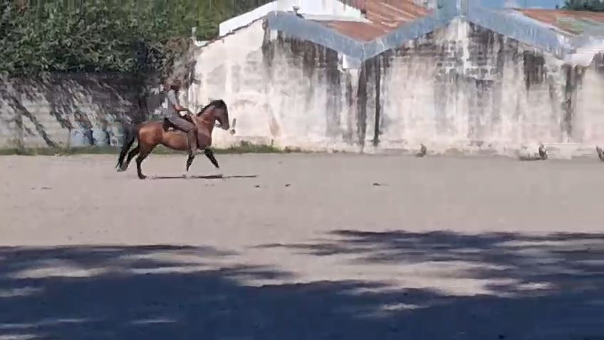 CAÑUMIL ISIDORO - Video