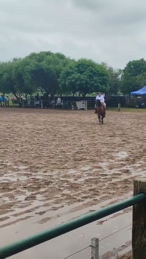 MANOSANTA IMPACTO  - Video