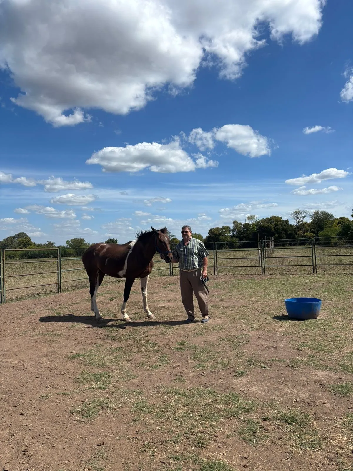 Mi Manada Equinoterapia  - Imagen 10