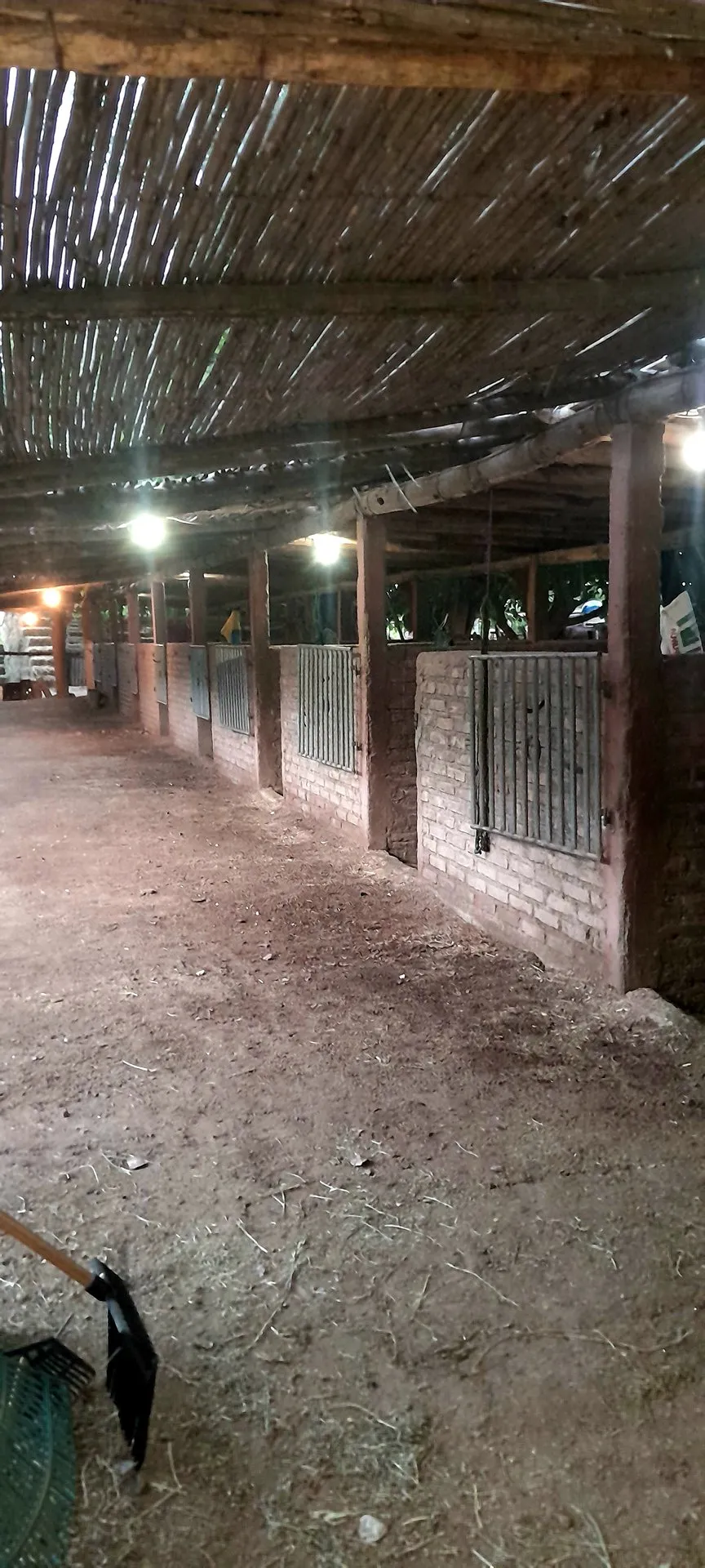 Centro Ecuestre La Mora 